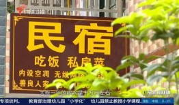 广东最新爆料消息新闻联播,新闻联播聚焦热点事件